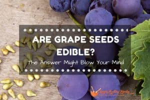 Are Grape Seeds Edible? The Answer Might Blow Your Mind