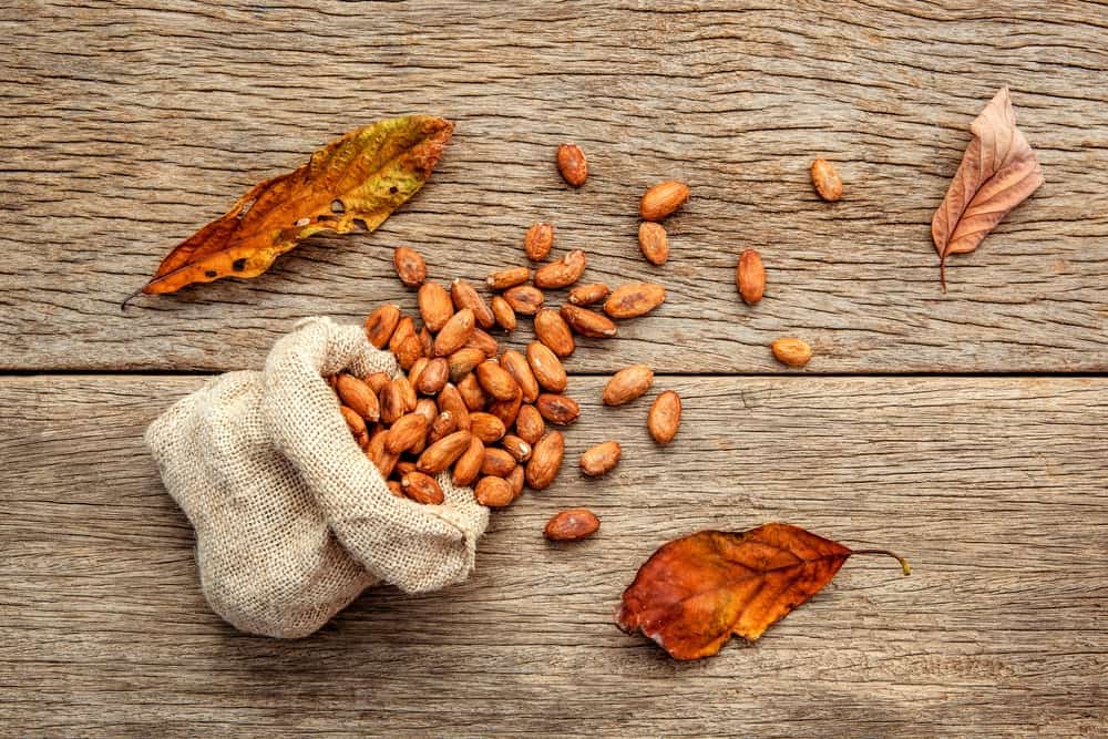Cacao and cacao on the bag