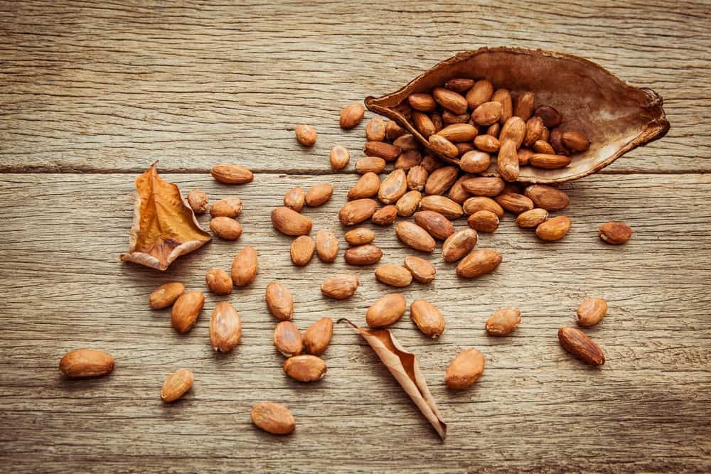 Cacao on the table