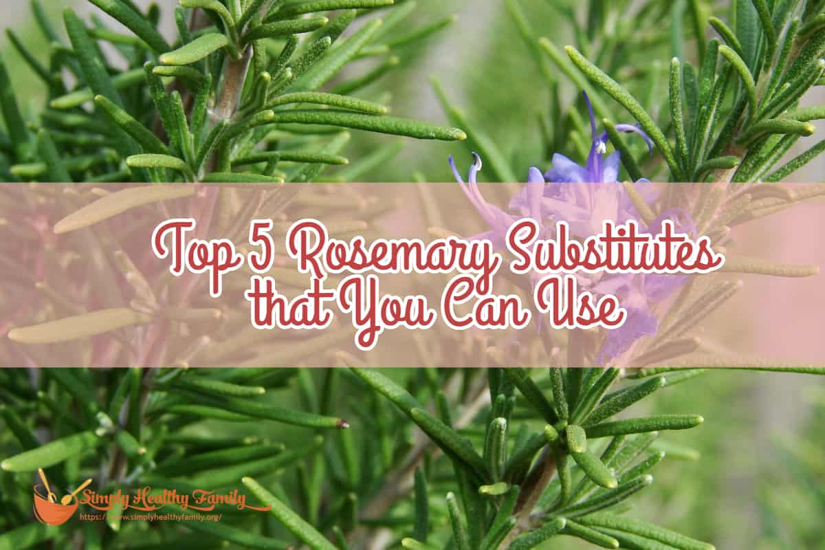 Top 5 Rosemary Substitutes for Any Recipe