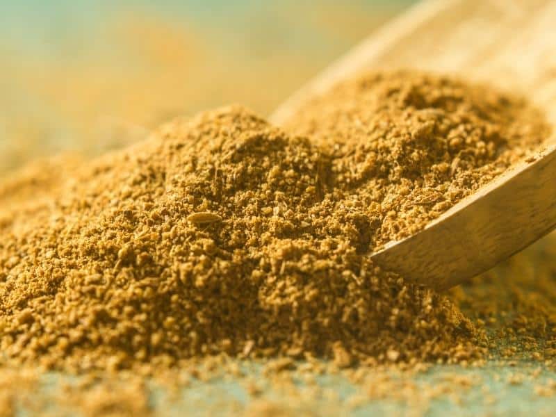 Substitute for Cumin Powder: The 7 Best Alternatives