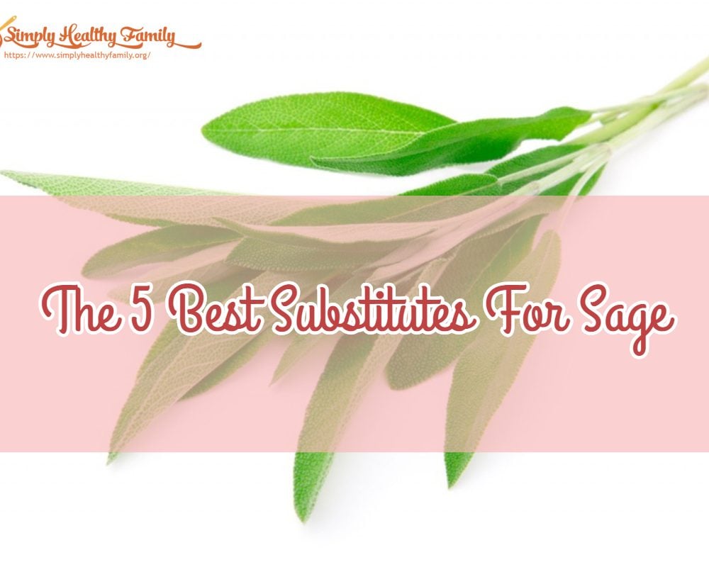 The 5 Best Substitutes For Sage