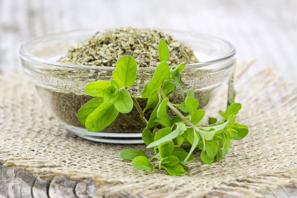 a bowl of marjoram