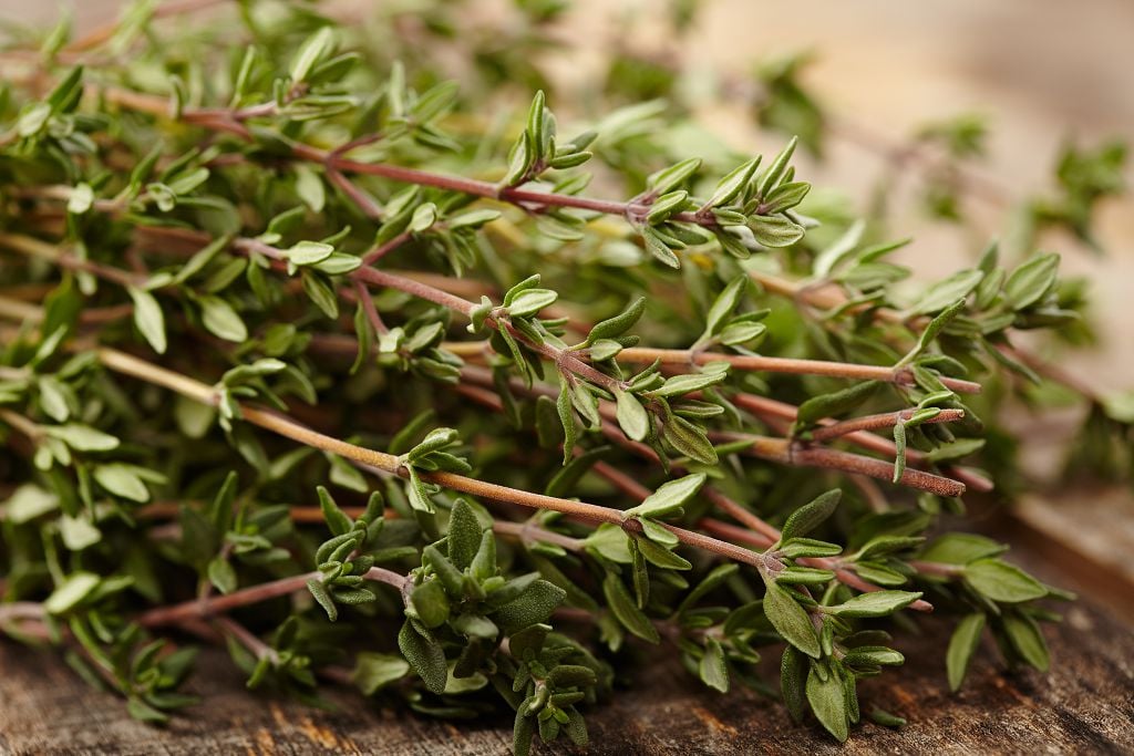 the branches of savory on the table