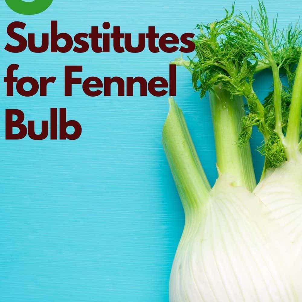 Substitution for Fennel Bulb: Your Top 5 Fennel Substitute Picks