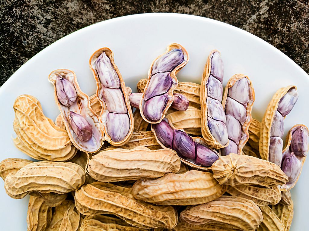 How Long Do Boiled Peanuts Last How To Store Boiled Peanuts Simply 