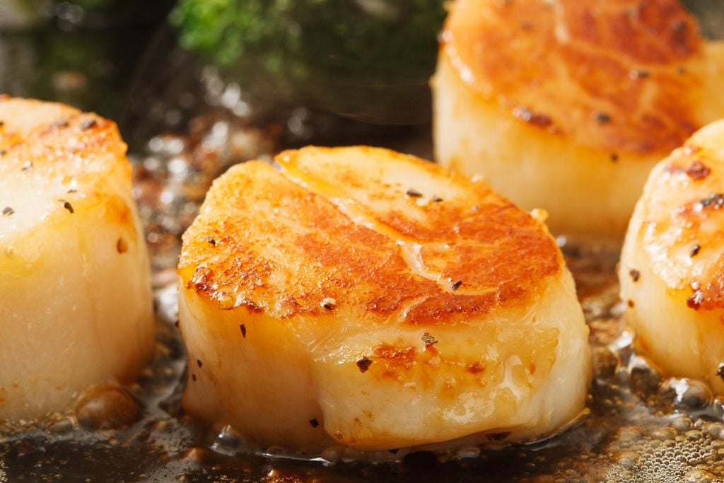 Grilled scallops and vegetables