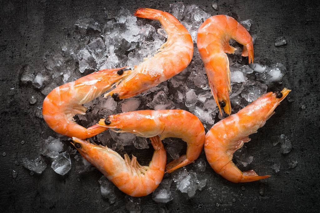 Cooked shrimp shelf life