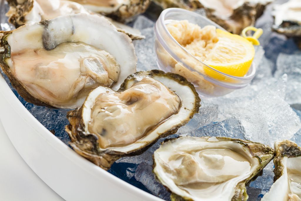 shucked oysters and ice on the bowl