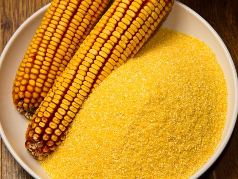 Top 5 Cornmeal Substitutes You Can Try