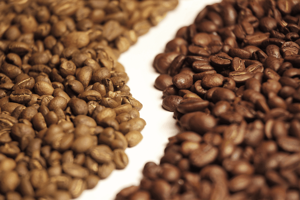 Arabica and robusta coffee beans side by side