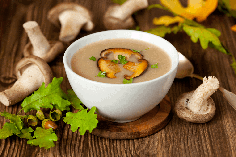 Vegan Mushroom Soup | How To Preparing the vegan mushroom soup