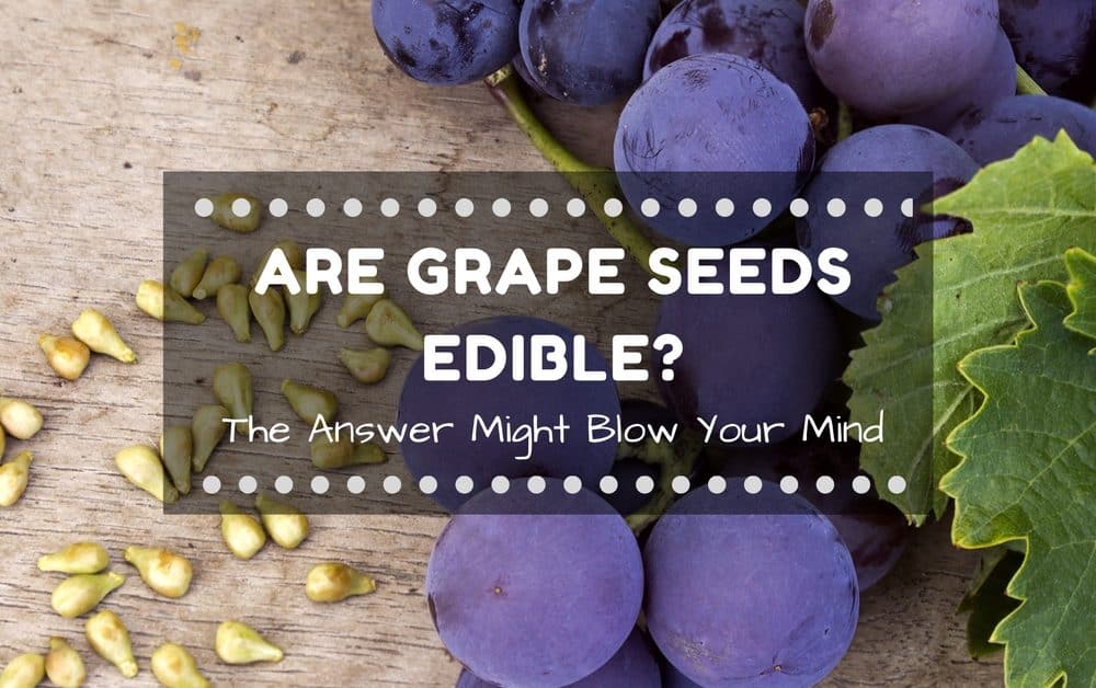 Are Grape Seeds Edible? The Answer Might Blow Your Mind