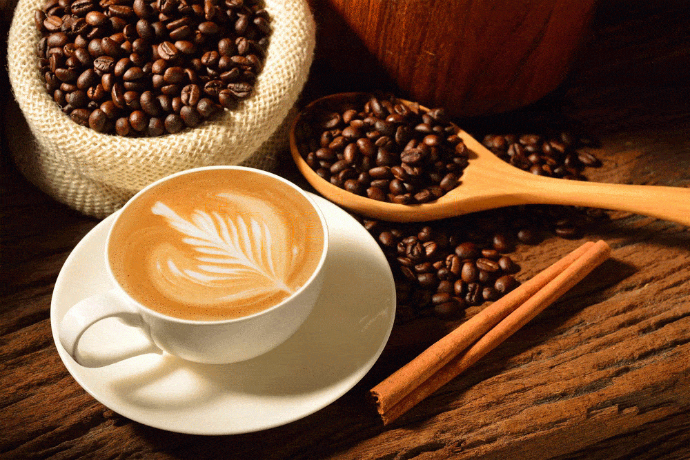 How To Choose The Best Coffee Beans For Latte