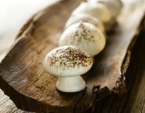 how long are mushrooms good for fresh