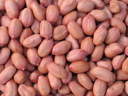 Raw Peanuts