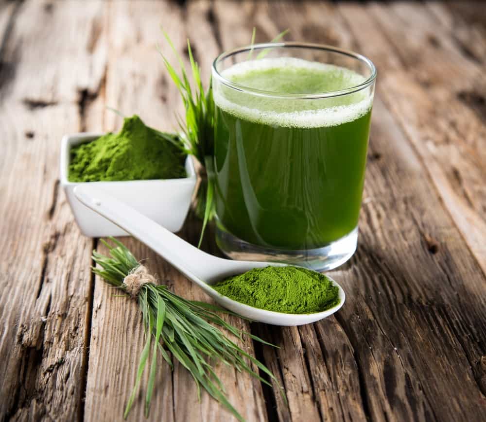best-spirulina-powder