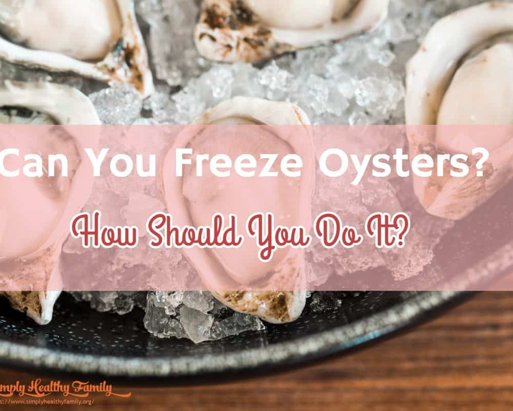Can You Freeze Oysters? How Should You Do It? Simply Healthy Family