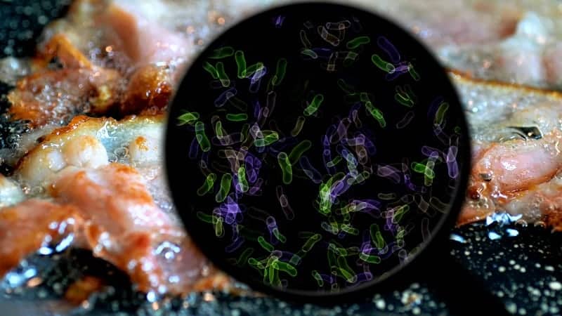 What Is the Number One Cause of Spoiled Meat? - Simply Healthy Family