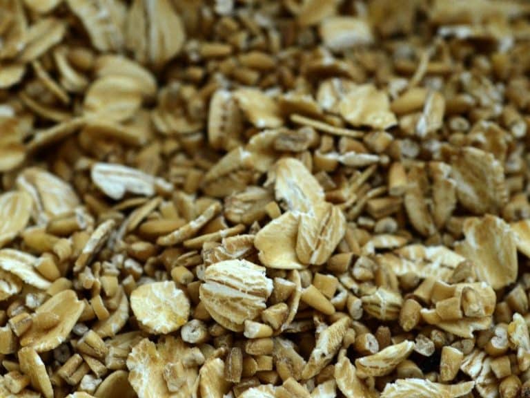 how to cook steel cut oats in a rice cooker