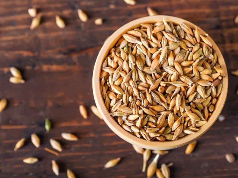 how to cook barley in a rice cooker