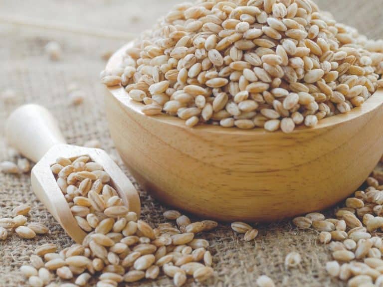How to Cook Barley in a Rice Cooker