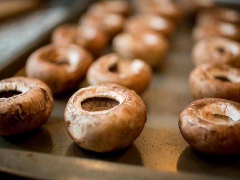 Can You Freeze Stuffed Mushrooms How & How Long? Simply Healthy Family