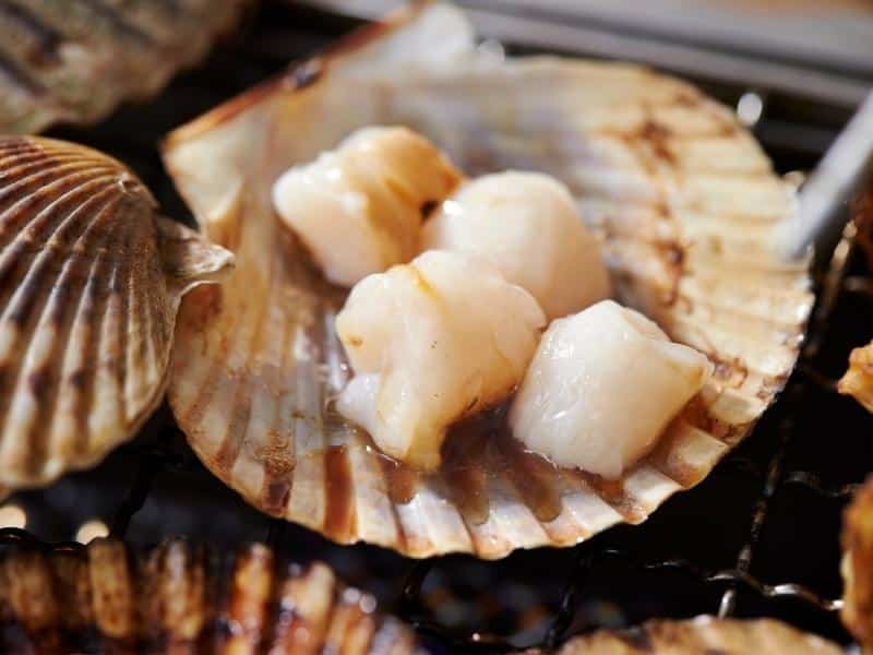How to Thaw Scallops 2023