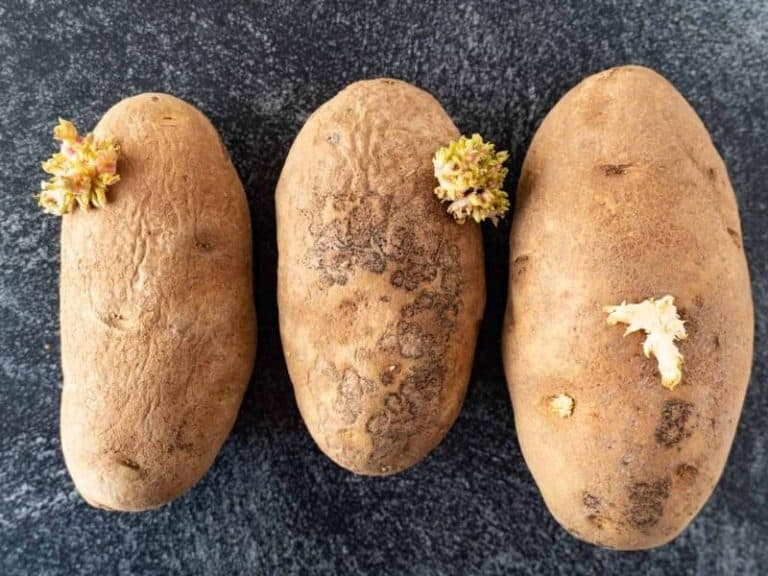 Do Potatoes Go Bad How Long Do Potatoes Last? Simply Healthy Family