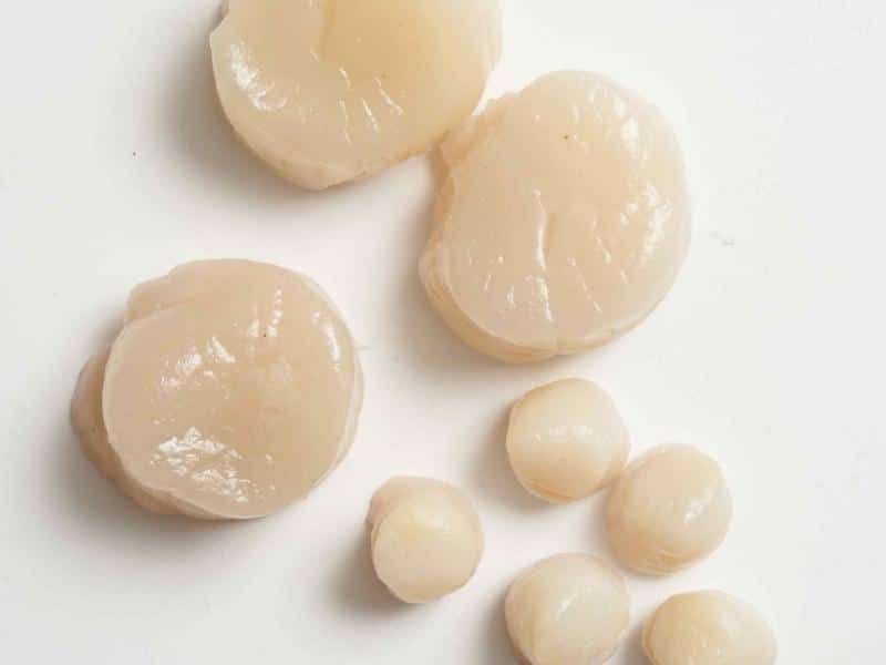 Varieties of Scallops