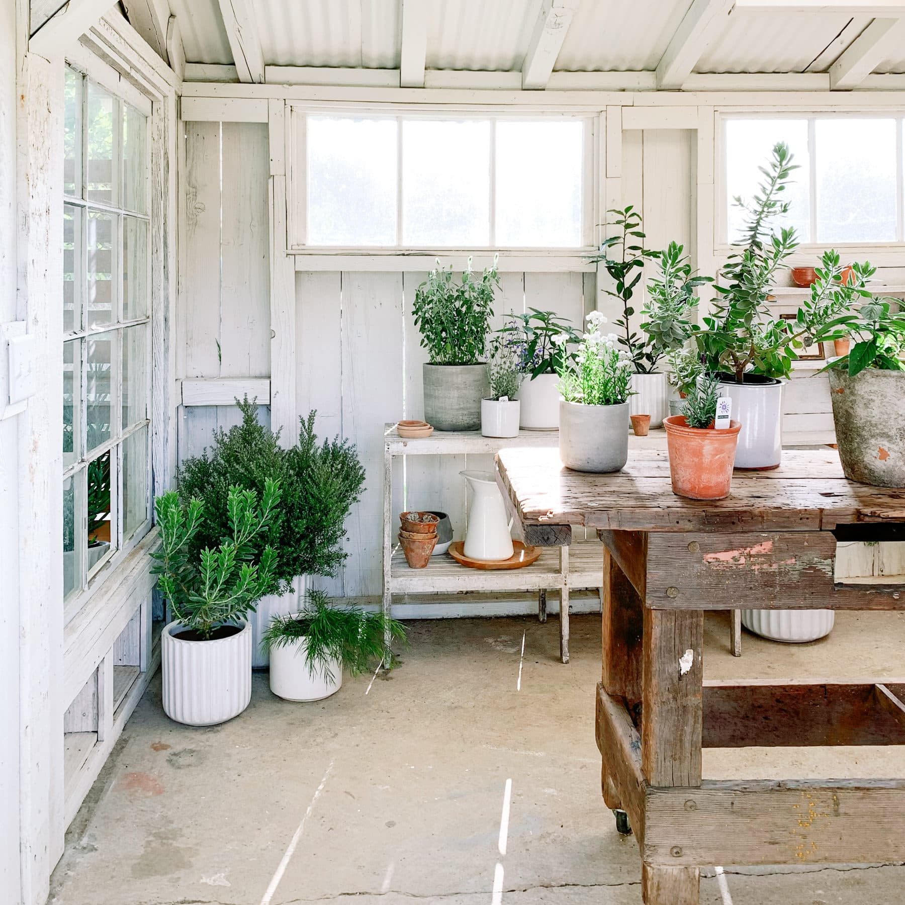 social squares al fresco outdoor fresh summer styled stock imagemage032 e1659547156152
