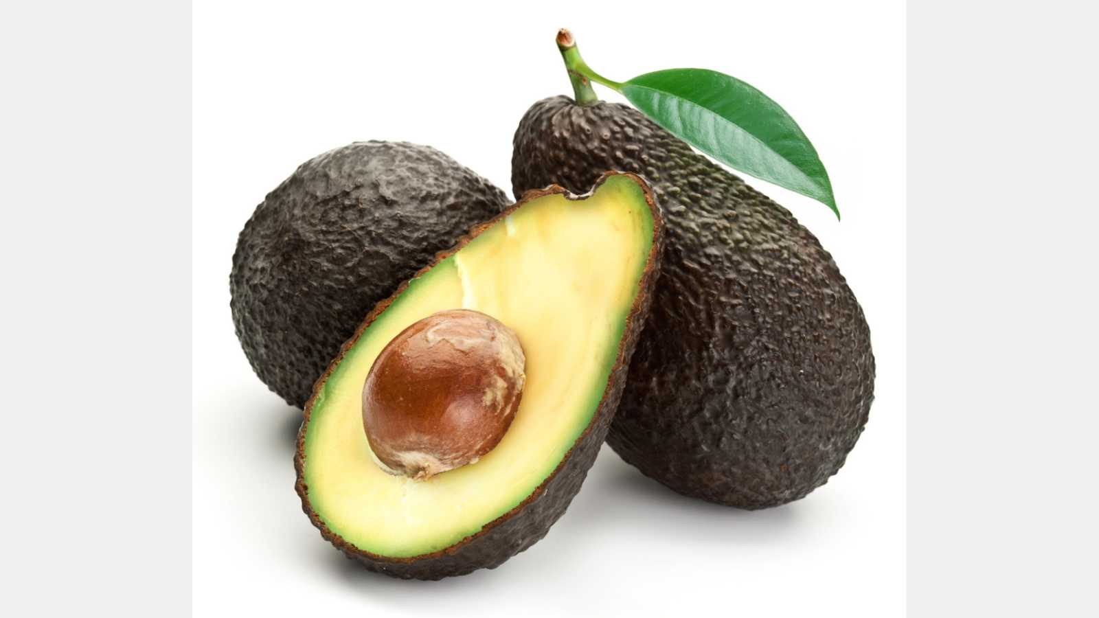 Brown Avocado
