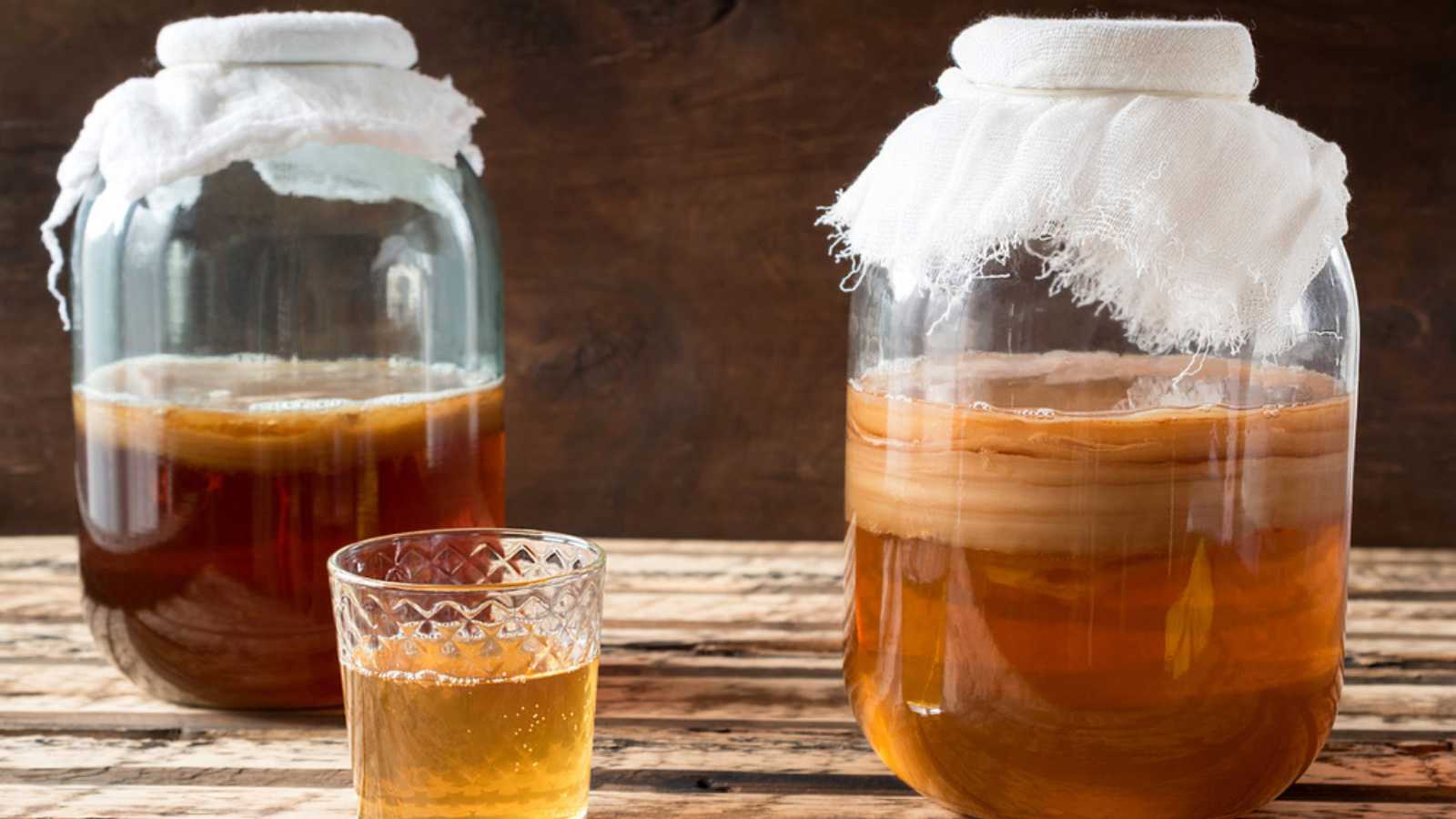 Kombucha
