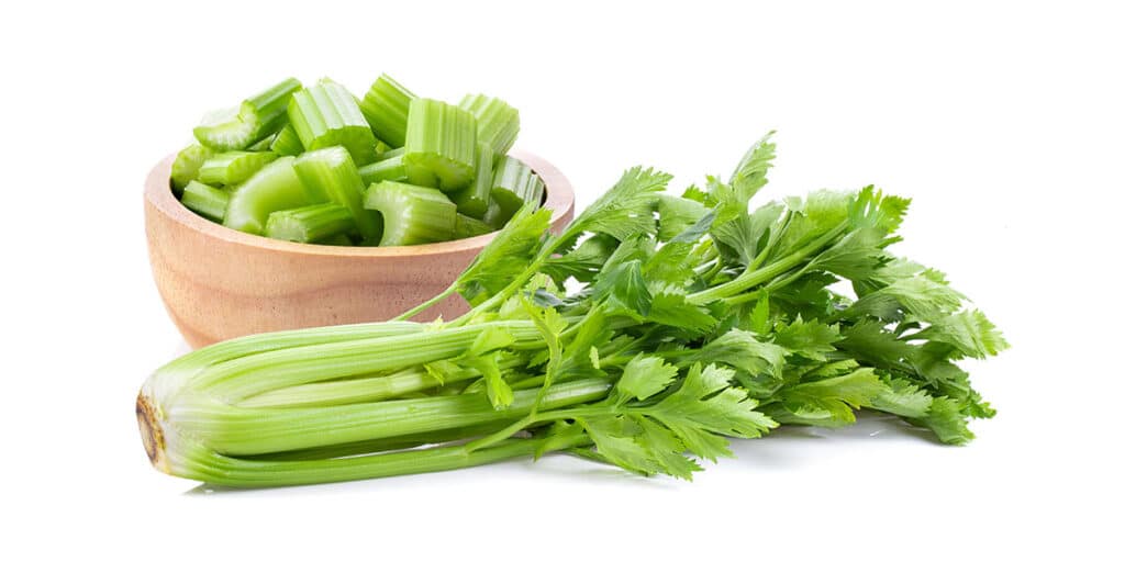 Celery